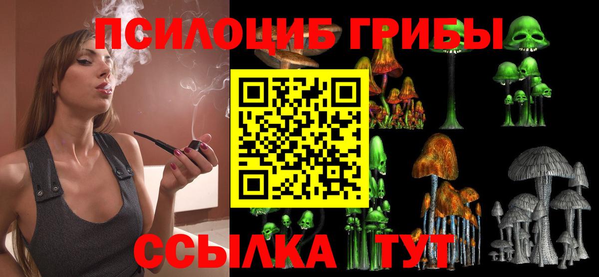Туймазы  Псилоцибиновые грибы MAGIC MUSHROOMS  Вход с VPN 
