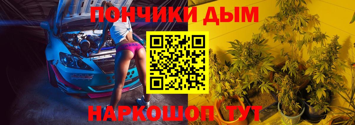 Бошки марихуана THC 21%  Марихуана Bruce Banner  Вход с VPN  Туймазы  Конопля семена 